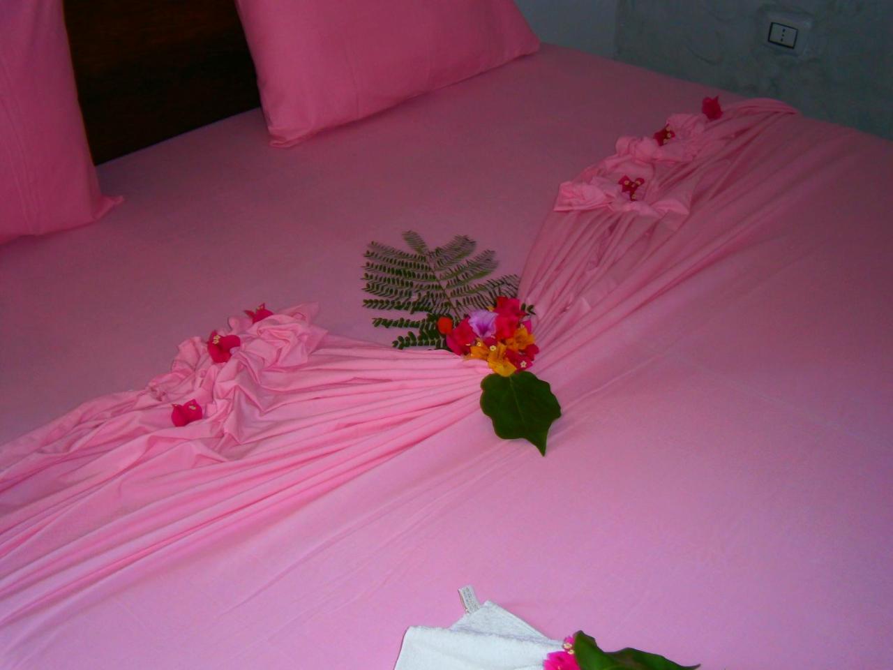 Jua Apartments Kiwengwa  Luaran gambar